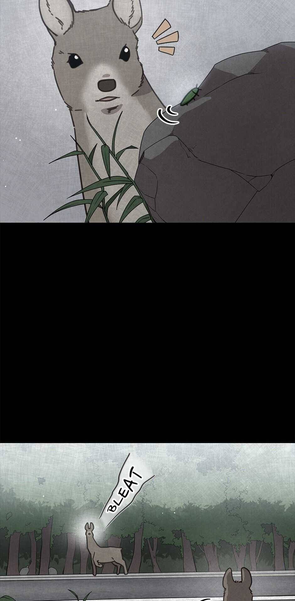 An Animal Hospital In The Border Area chapter 36 page 52