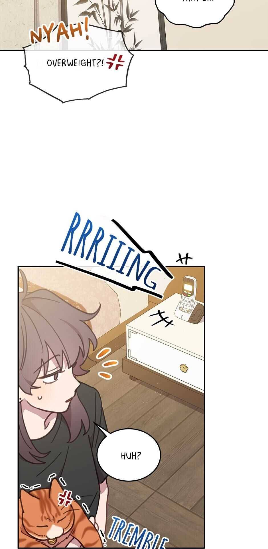 An Animal Hospital In The Border Area chapter 39 page 27