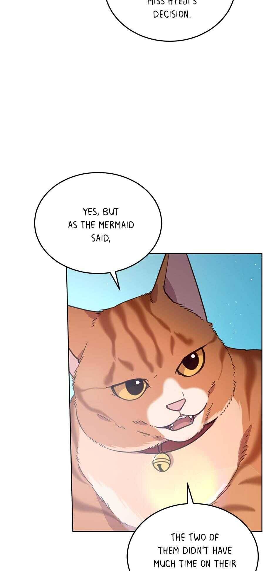 An Animal Hospital In The Border Area chapter 46 page 13