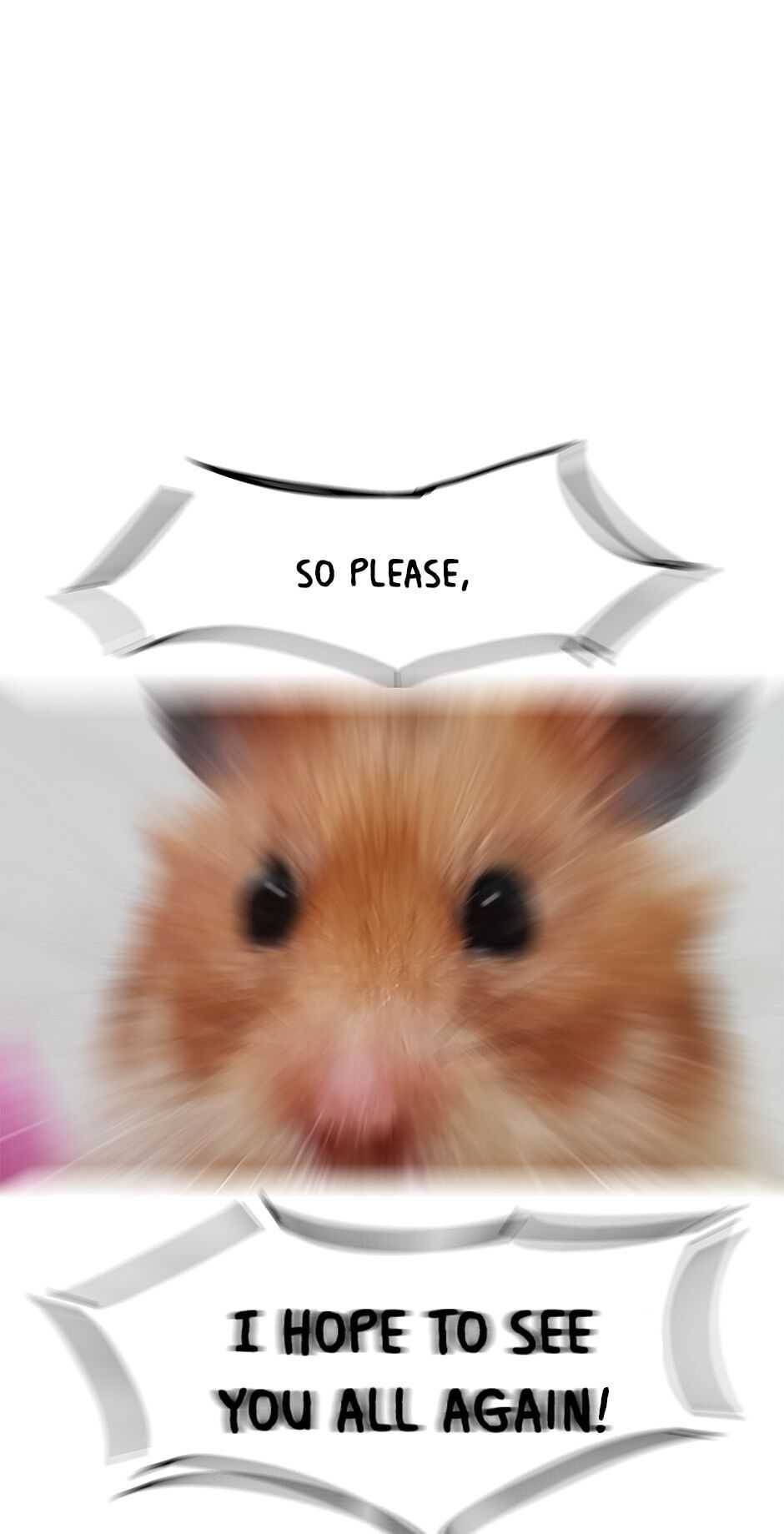 An Animal Hospital In The Border Area chapter 46 page 89