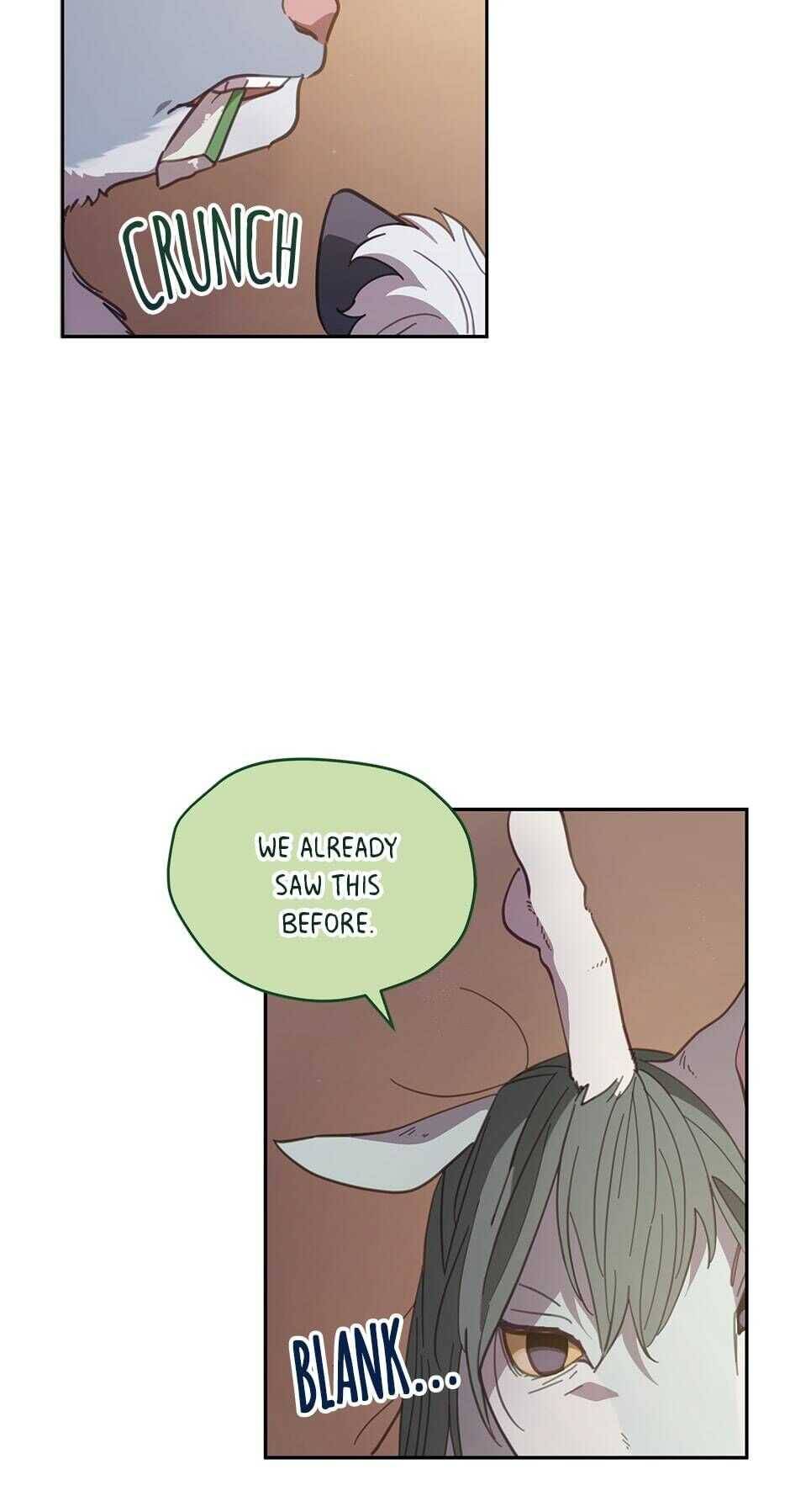 An Animal Hospital In The Border Area chapter 47 page 38