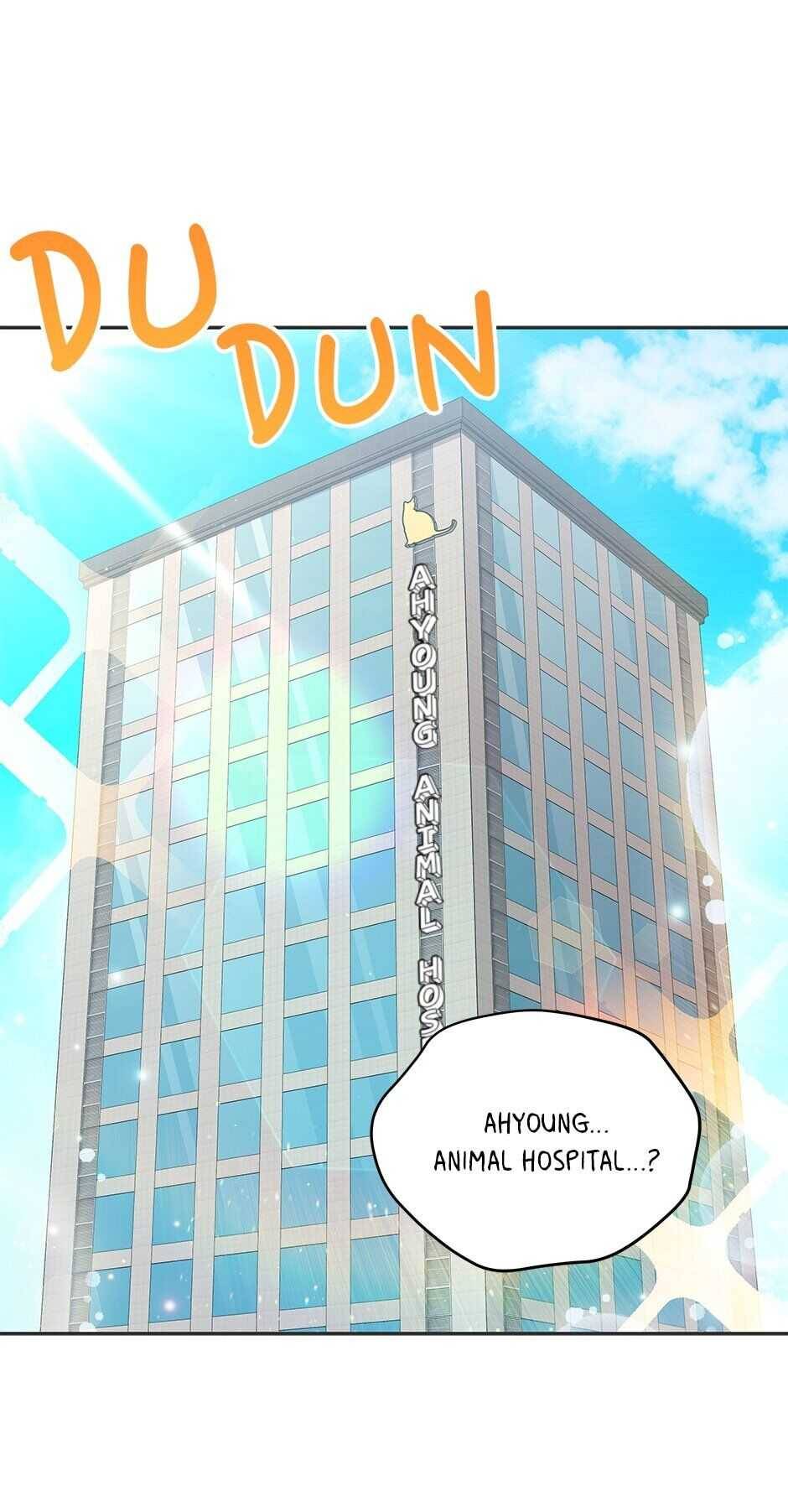 An Animal Hospital In The Border Area chapter 47 page 5