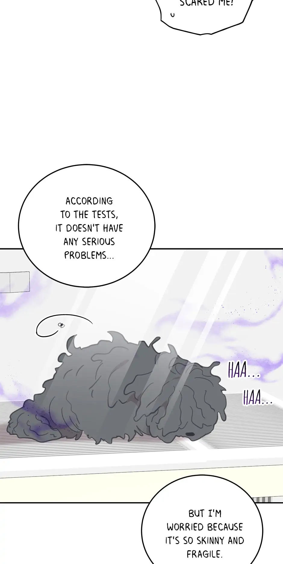 An Animal Hospital In The Border Area chapter 64 page 47