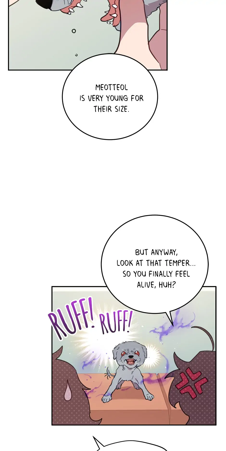 An Animal Hospital In The Border Area chapter 65 page 6