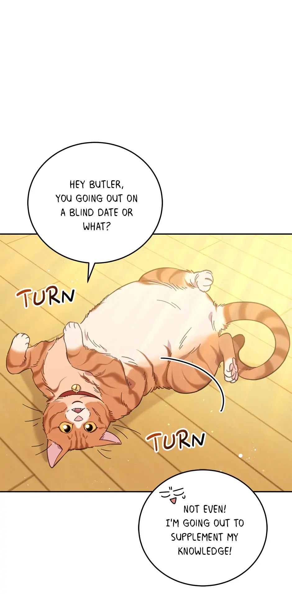 An Animal Hospital In The Border Area chapter 69 page 17