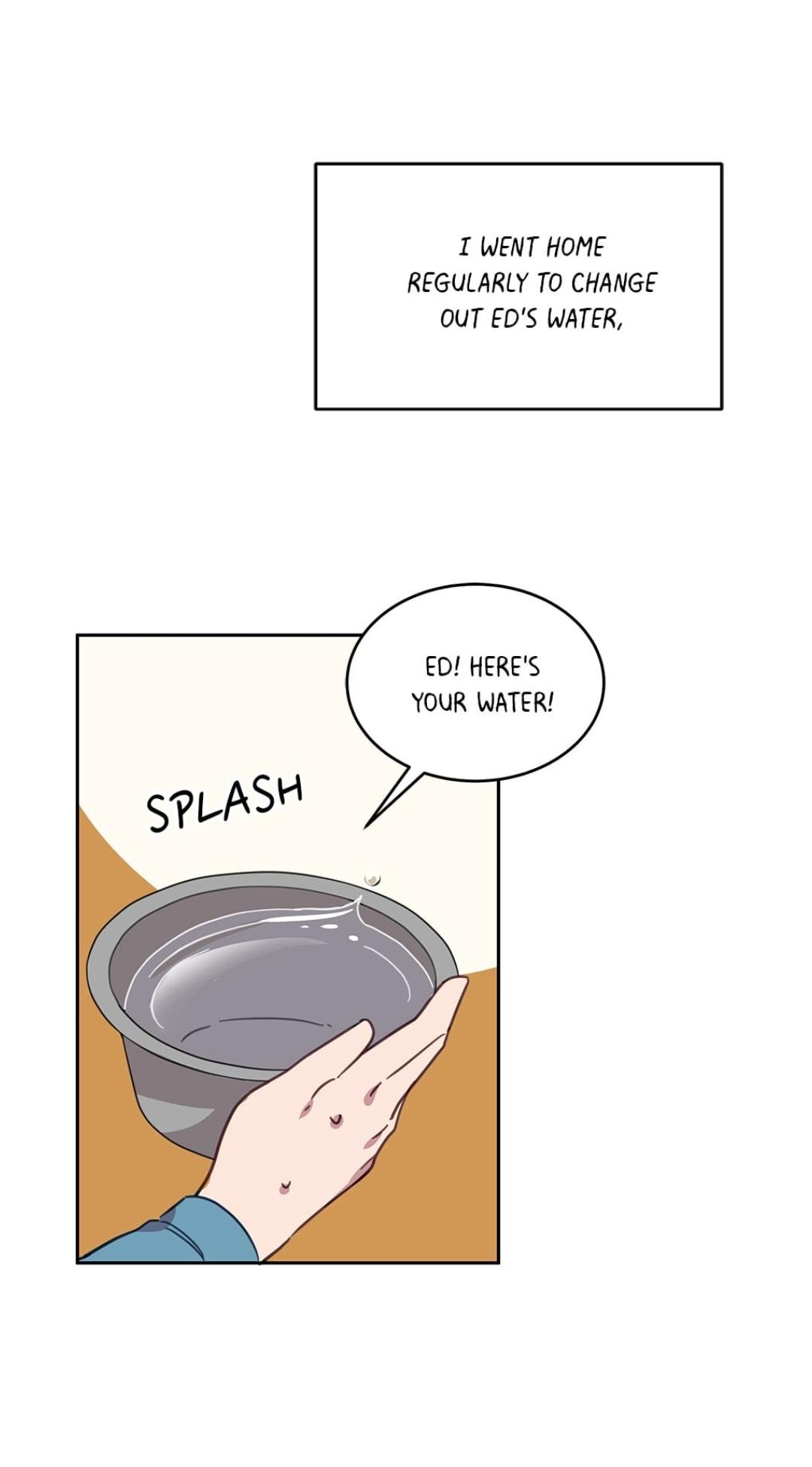 An Animal Hospital In The Border Area chapter 7 page 11