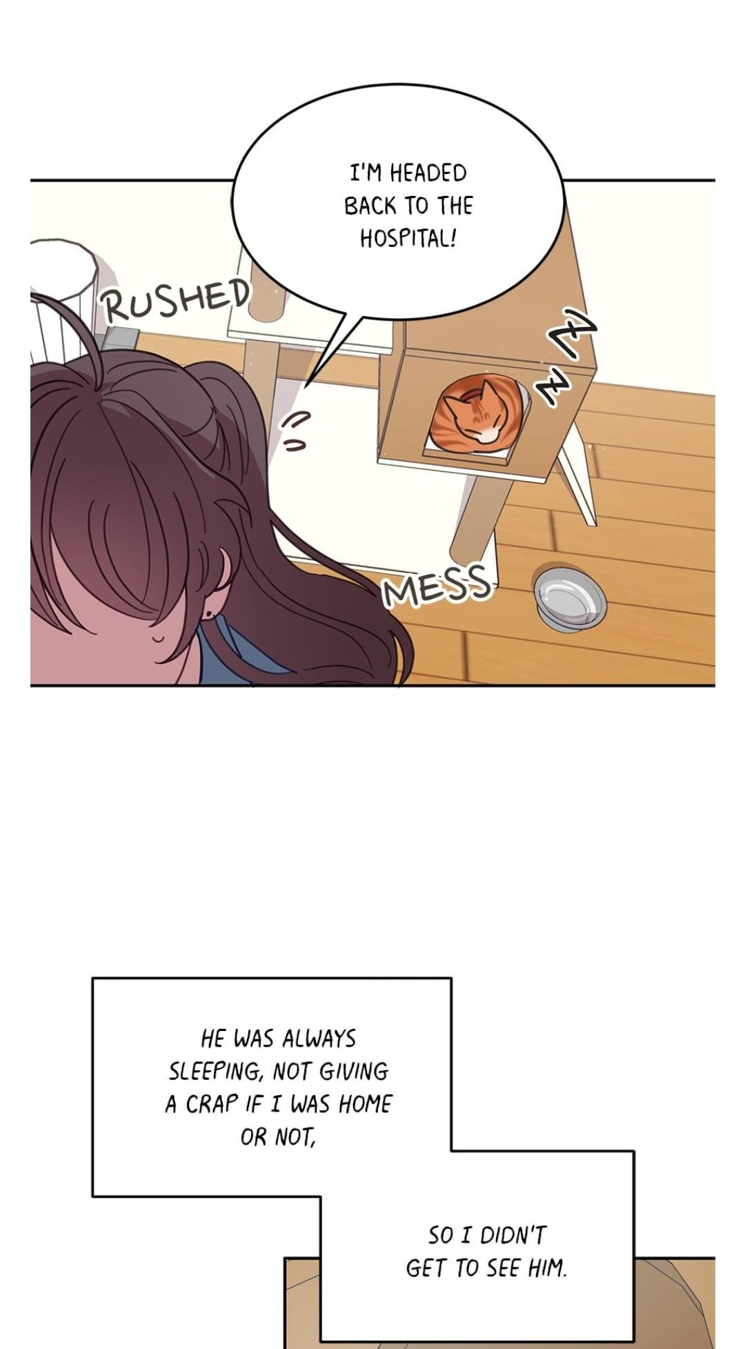 An Animal Hospital In The Border Area chapter 7 page 12