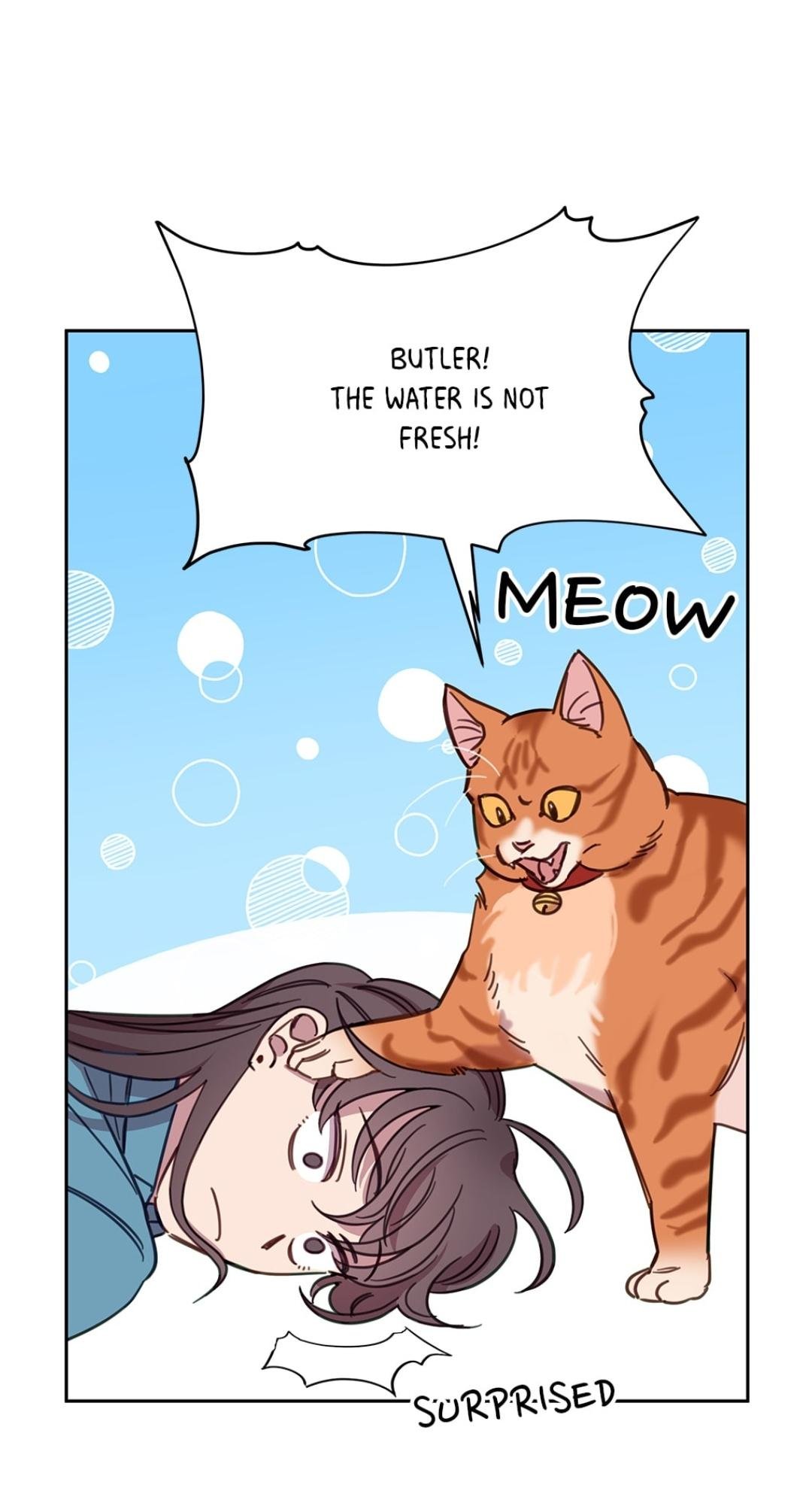 An Animal Hospital In The Border Area chapter 7 page 5