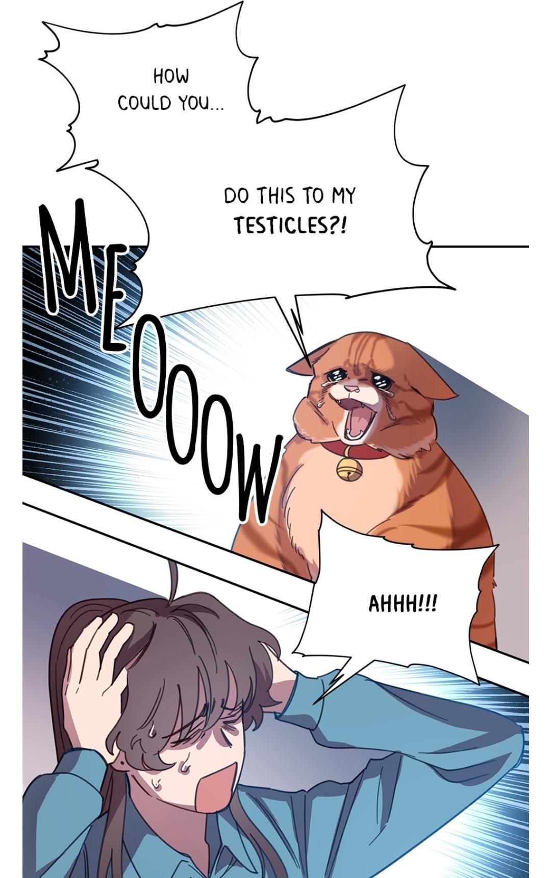 An Animal Hospital In The Border Area chapter 7 page 54