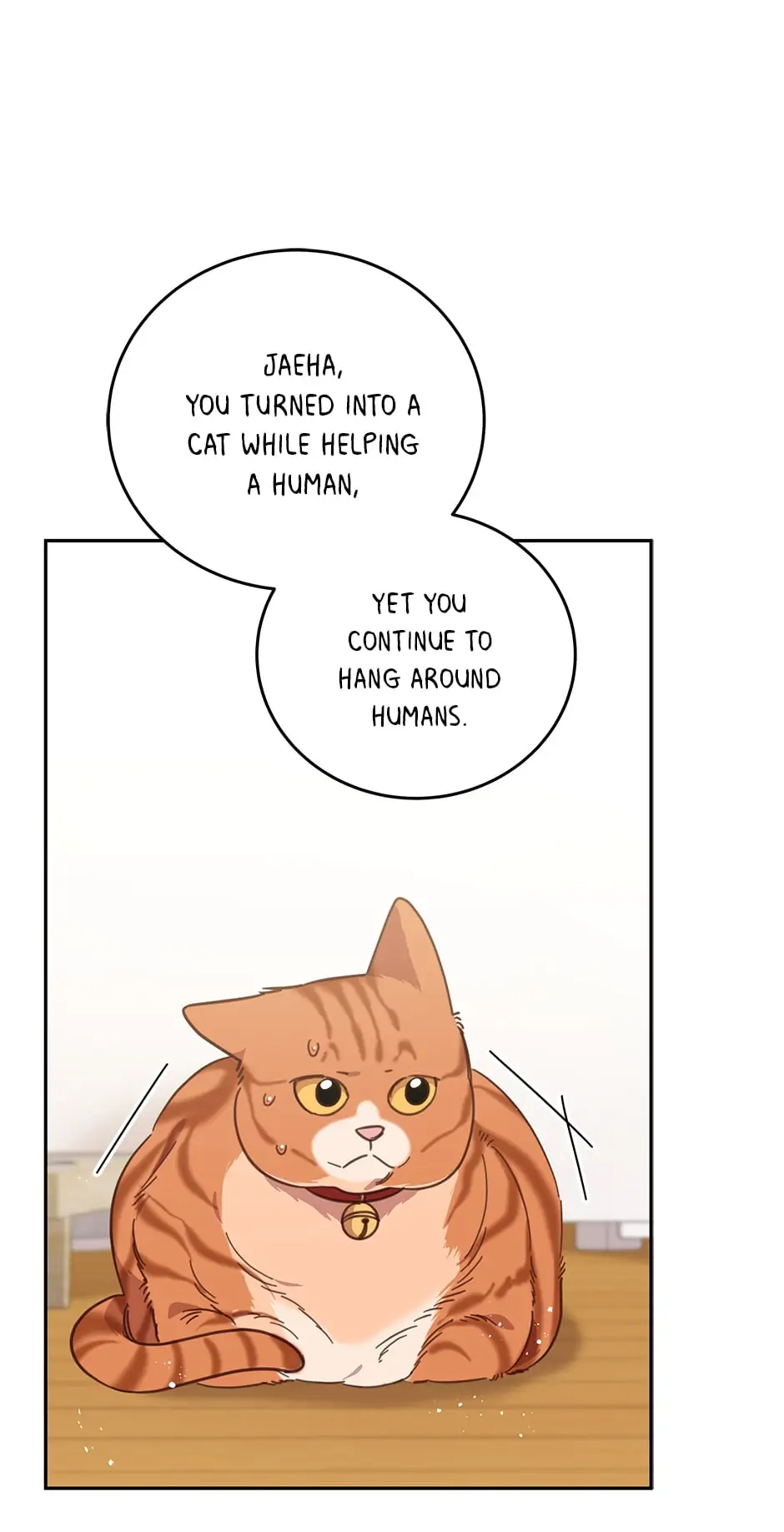 An Animal Hospital In The Border Area chapter 74 page 7