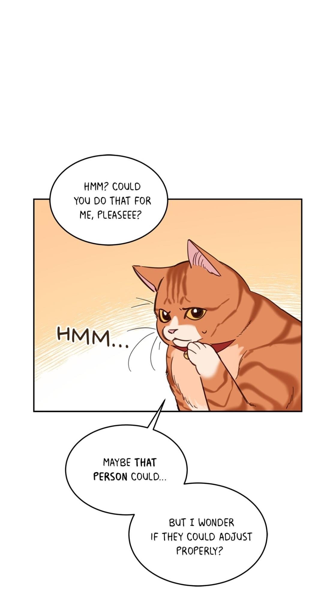 An Animal Hospital In The Border Area chapter 8 page 41