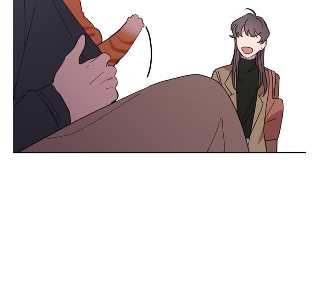 An Animal Hospital In The Border Area chapter 8 page 53