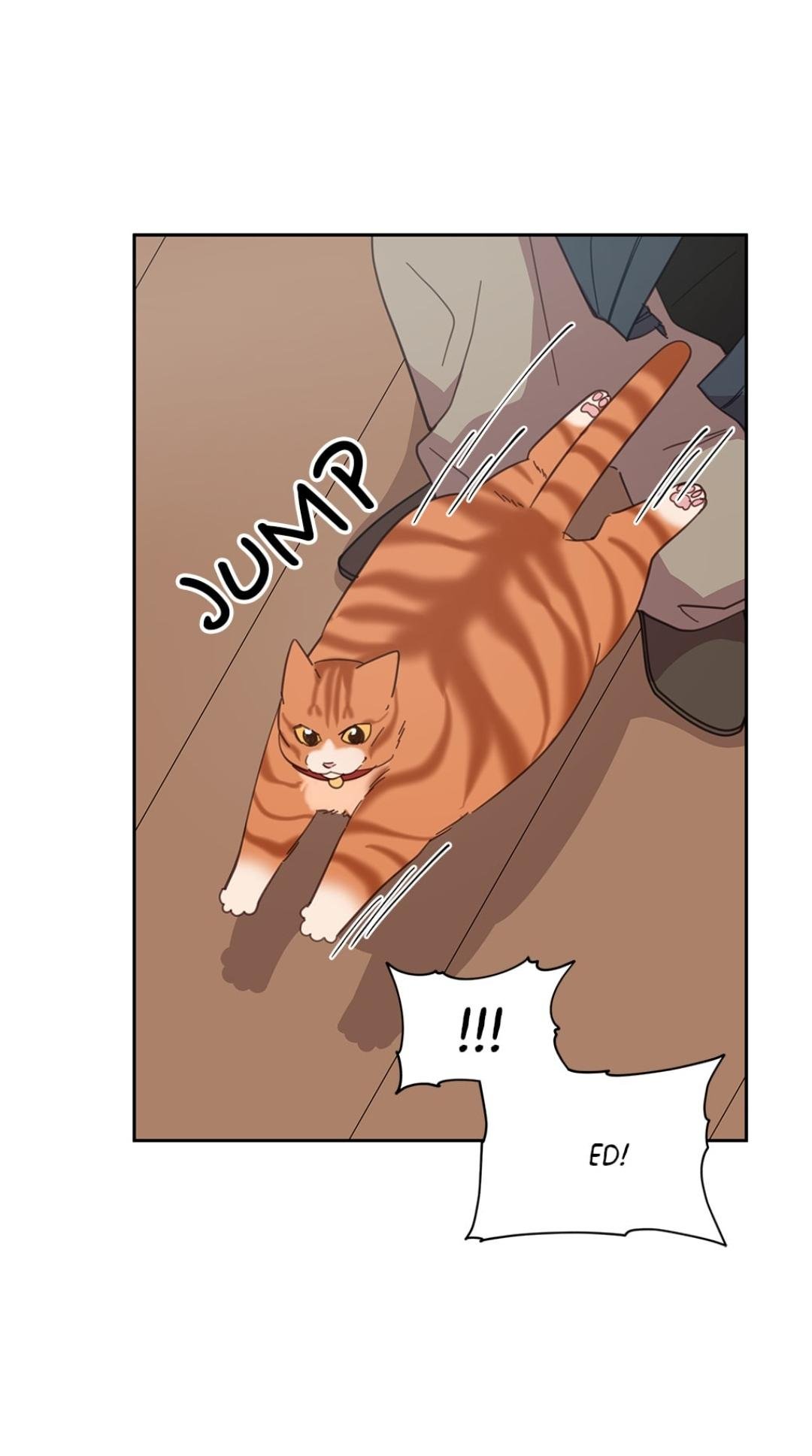 An Animal Hospital In The Border Area chapter 8 page 54