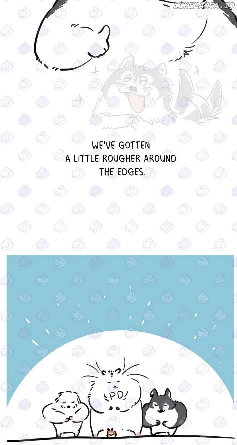 An Animal Hospital In The Border Area chapter 90 page 71