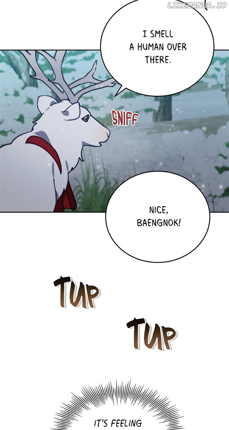 An Animal Hospital In The Border Area chapter 93 page 65