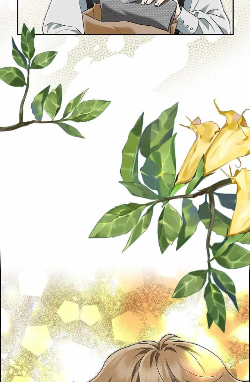 An Ice Lamp: Gira Chronicles chapter 33 page 88