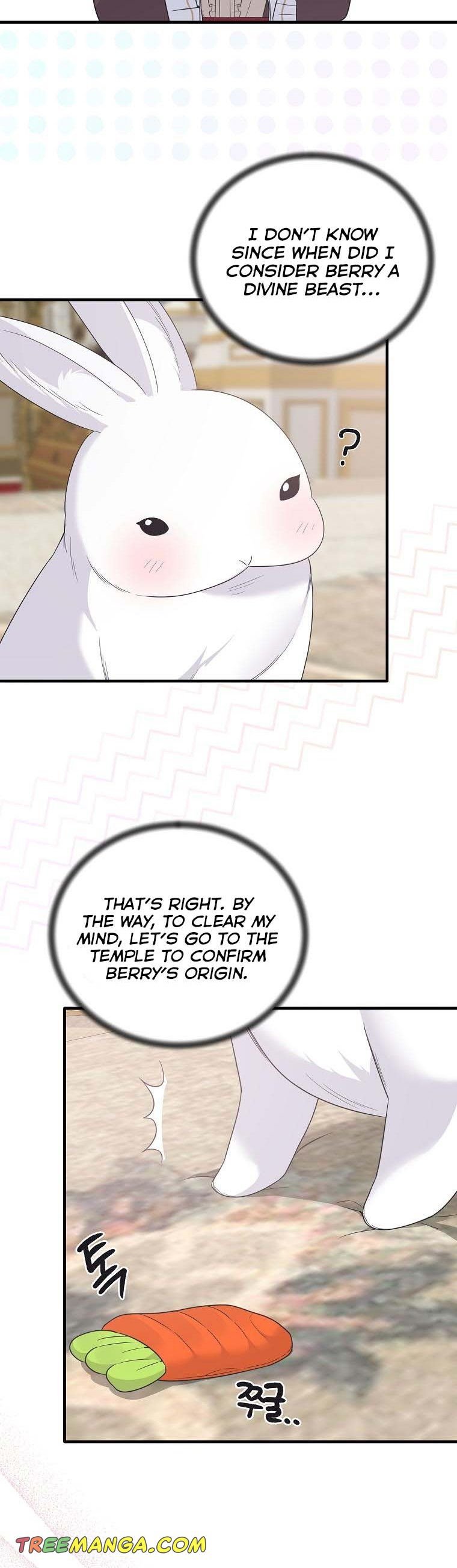 Angelic Lady chapter 107 page 19