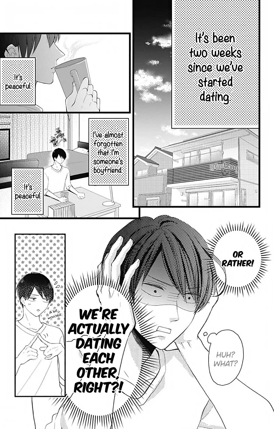 Ani ga kareshi de, gomen chapter 15 page 14