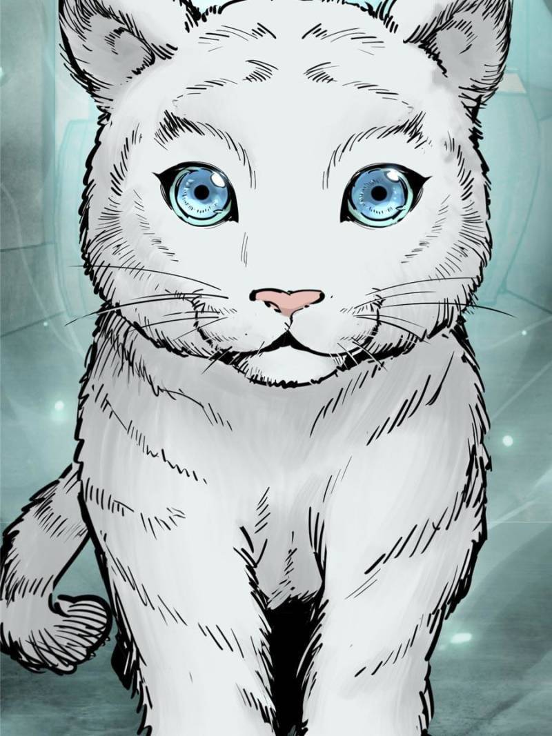 Another beginning with the Guhuo bird chapter 113 page 79