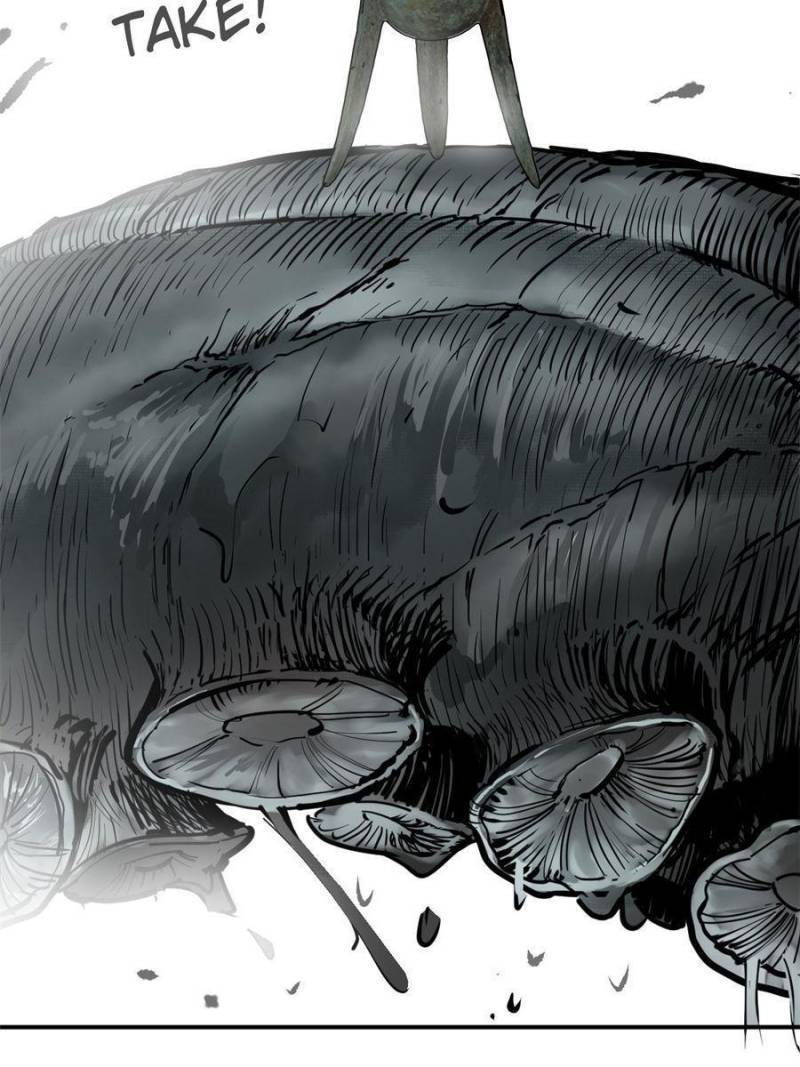 Another beginning with the Guhuo bird chapter 177 page 47