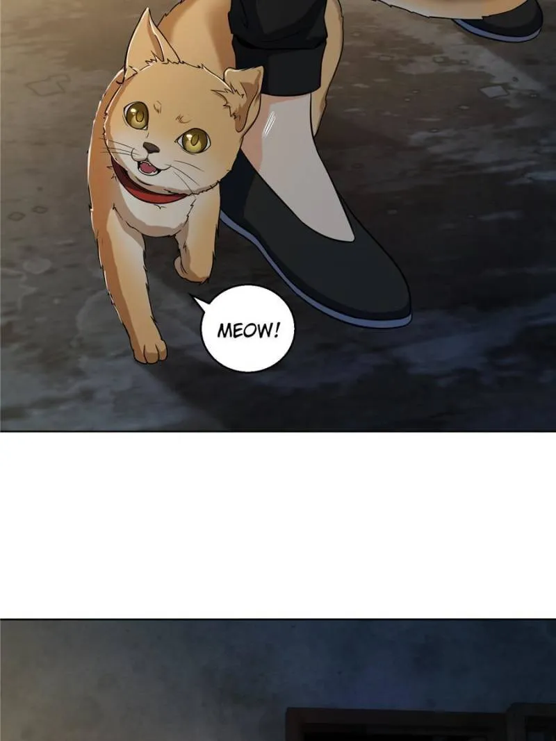 Another beginning with the Guhuo bird chapter 21 page 13