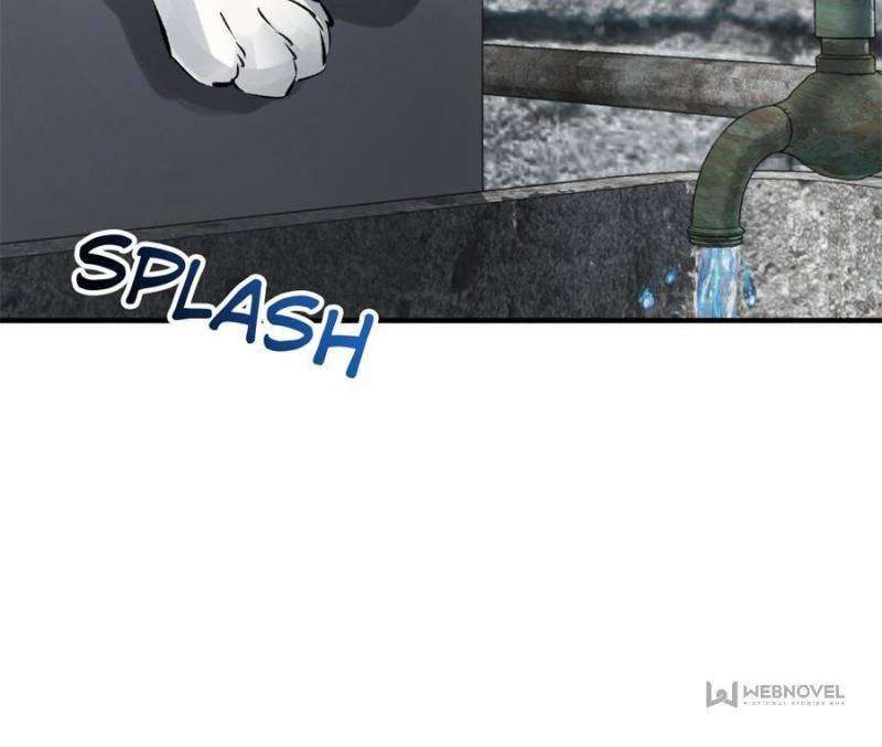 Another beginning with the Guhuo bird chapter 246 page 18