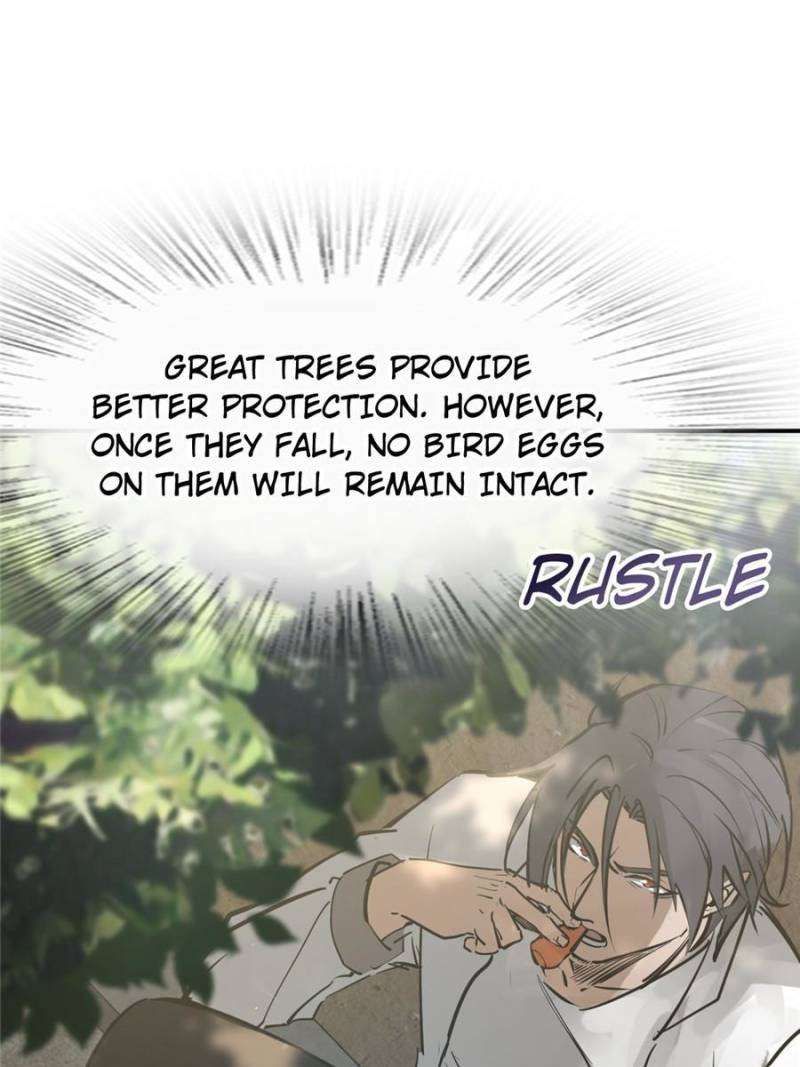 Another beginning with the Guhuo bird chapter 248 page 25