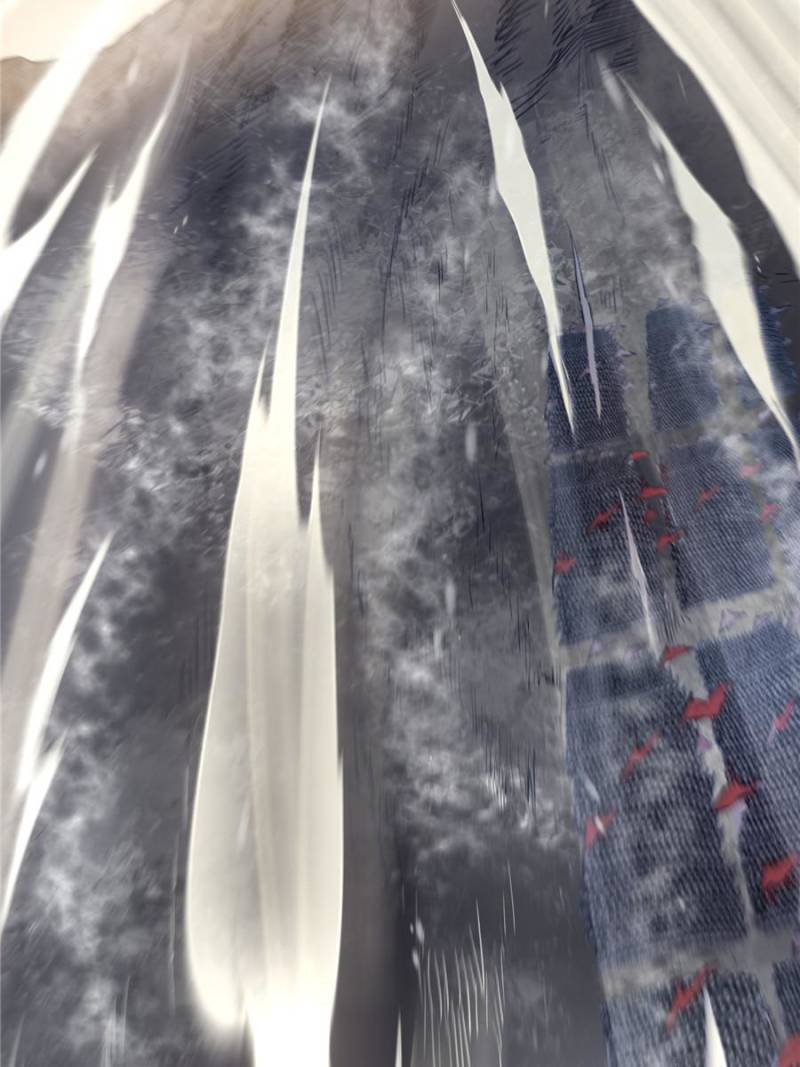 Another beginning with the Guhuo bird chapter 61 page 49