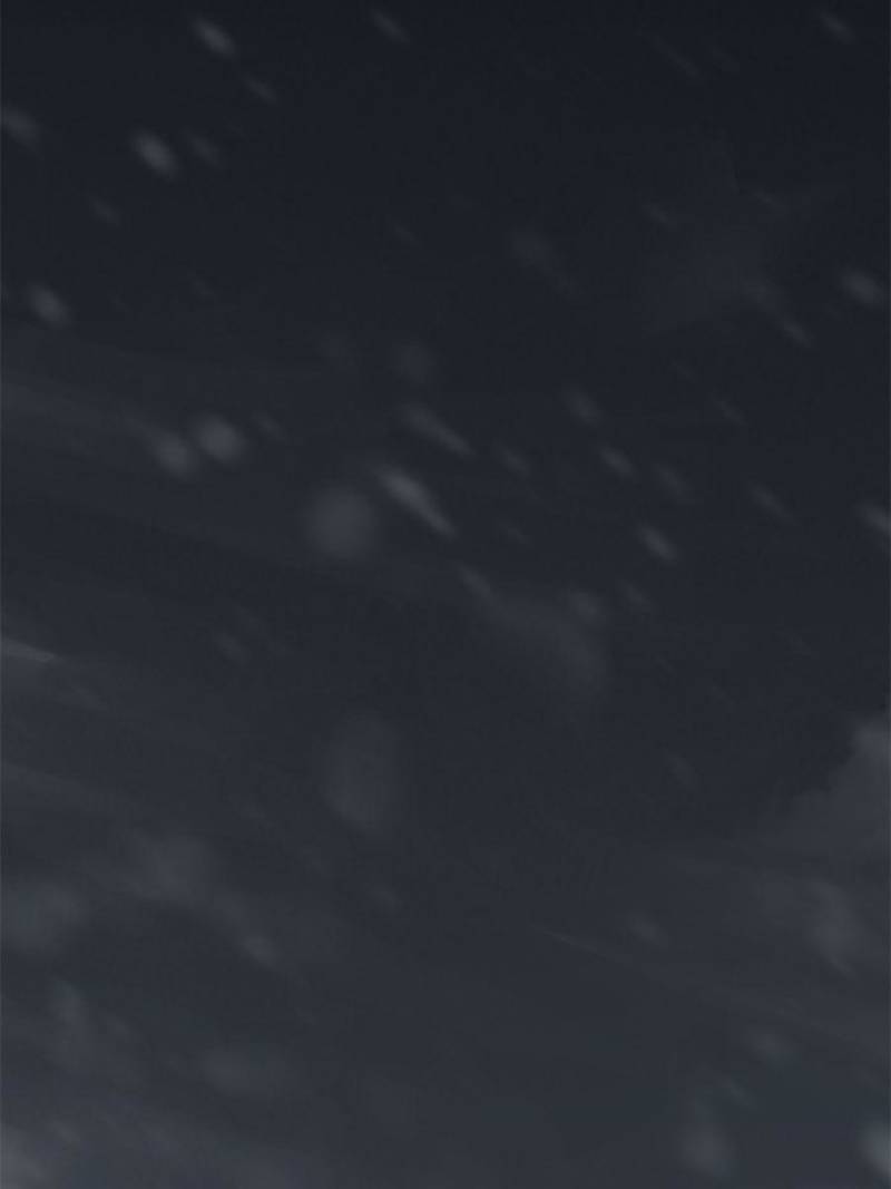 Another beginning with the Guhuo bird chapter 74 page 47