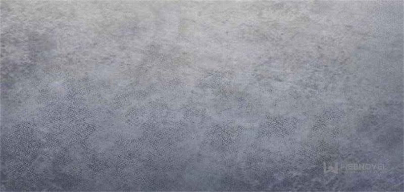 Another beginning with the Guhuo bird chapter 9 page 14