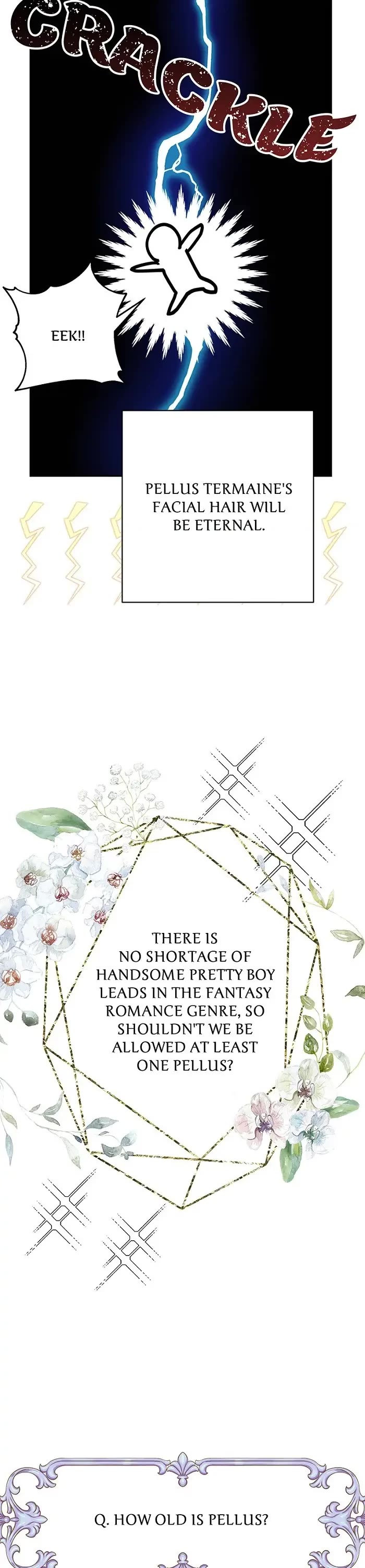 Another Typical Fantasy Romance chapter 47.5 page 14