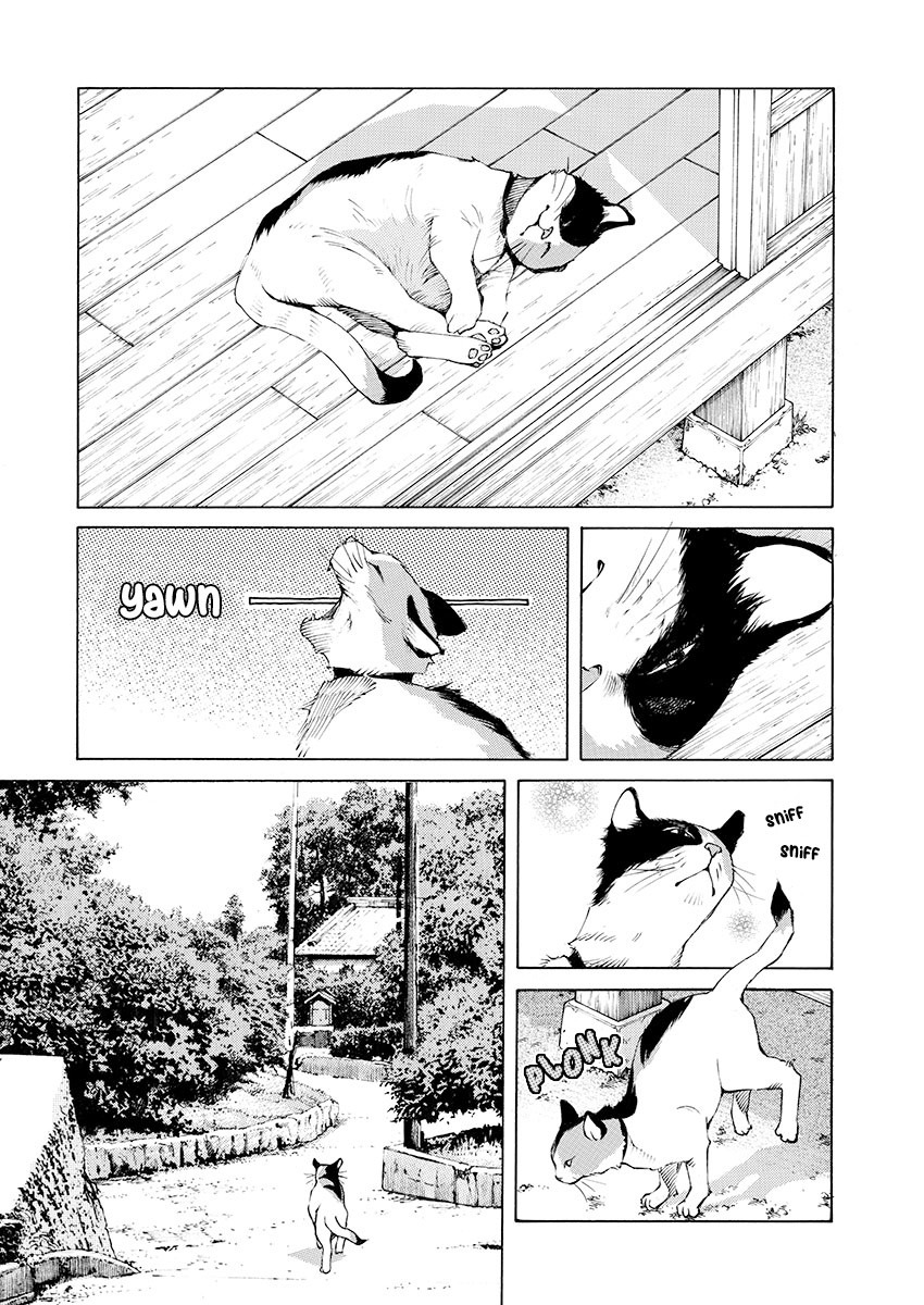 Ao no Shima to Neko Ippiki chapter 9 page 14
