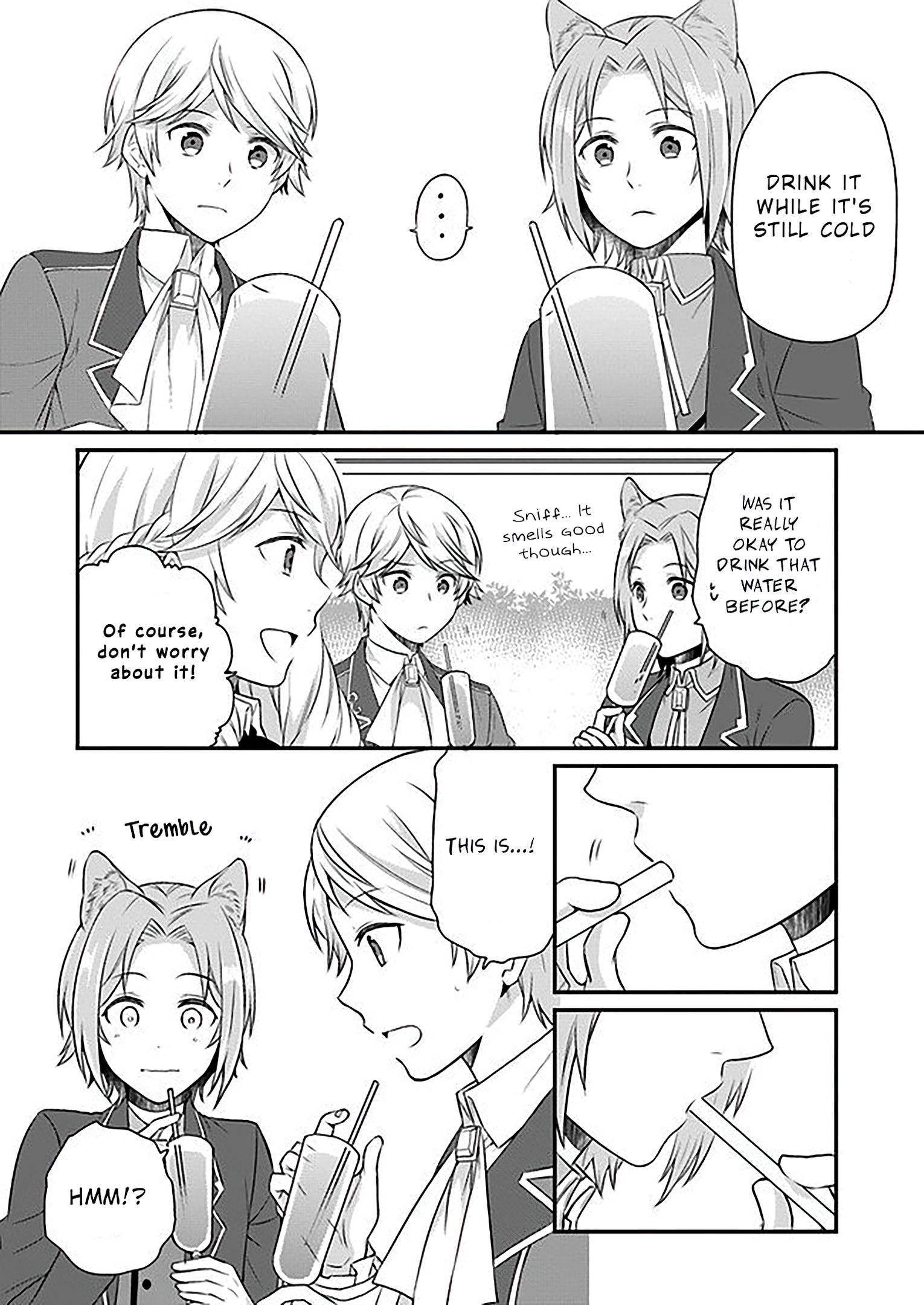 As A Result Of Breaking An Otome Game, The Villainess Young Lady Becomes A Cheat! chapter 6 page 14
