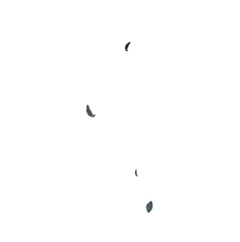 Ashtarte chapter 33 page 42