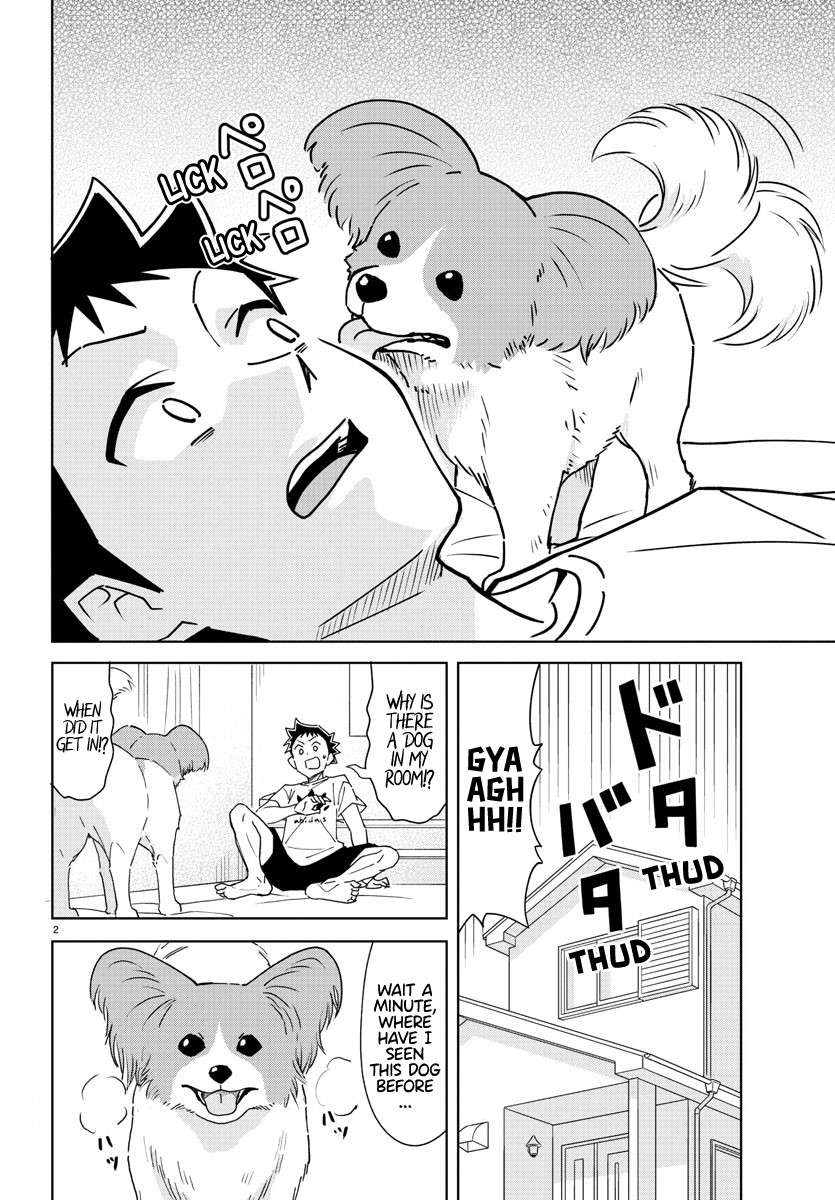 Atsumare! Fushigi Kenkyu-bu chapter 325 page 2