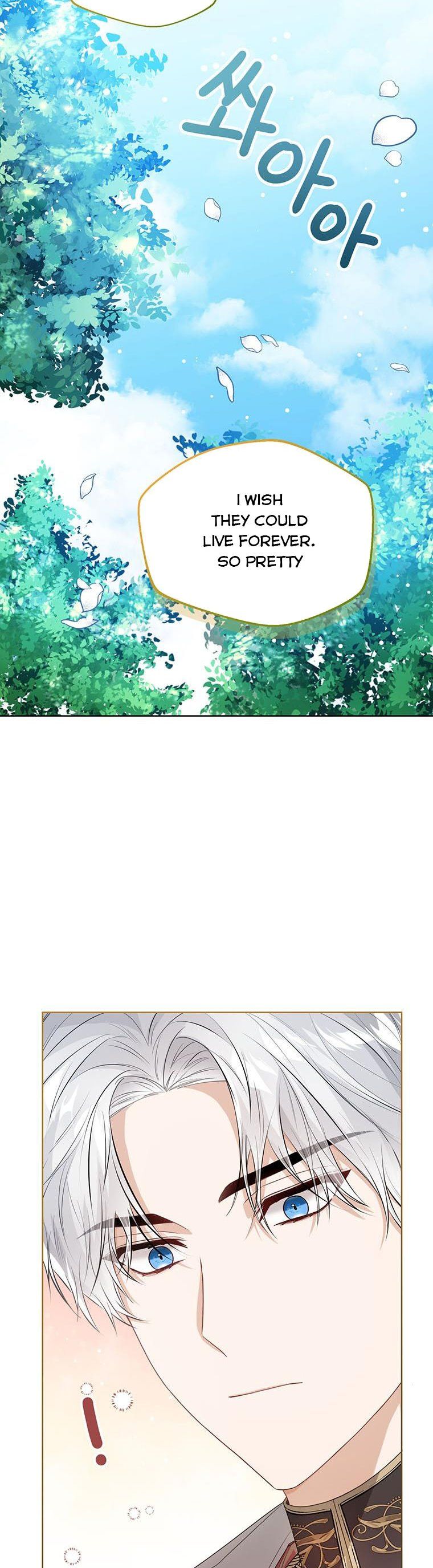 Baby Princess Through the Status Window chapter 36.5 page 4