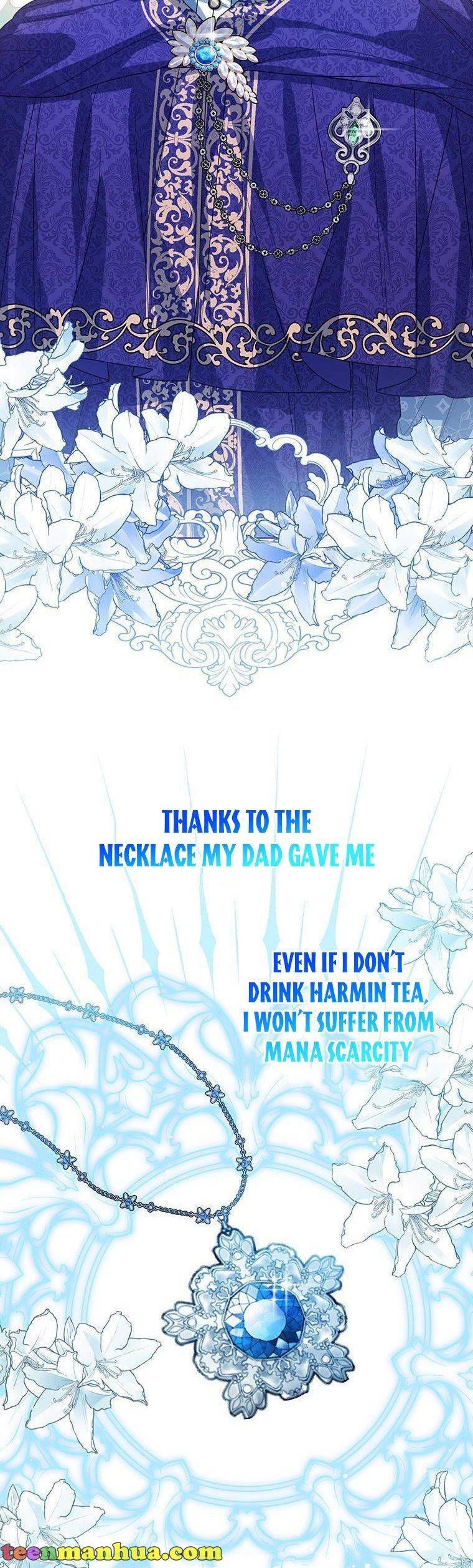 Baby Princess Through the Status Window chapter 45.5 page 17