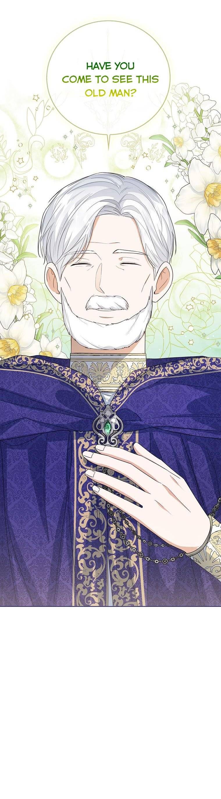 Baby Princess Through the Status Window chapter 47.5 page 23