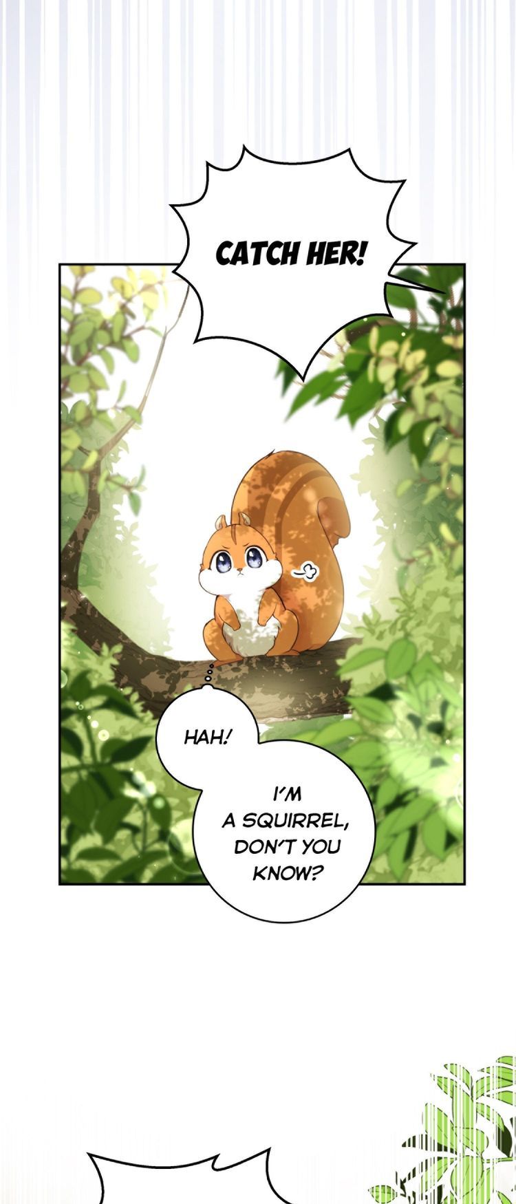Baby Squirrel Is Good at Everything chapter 2.5 page 27