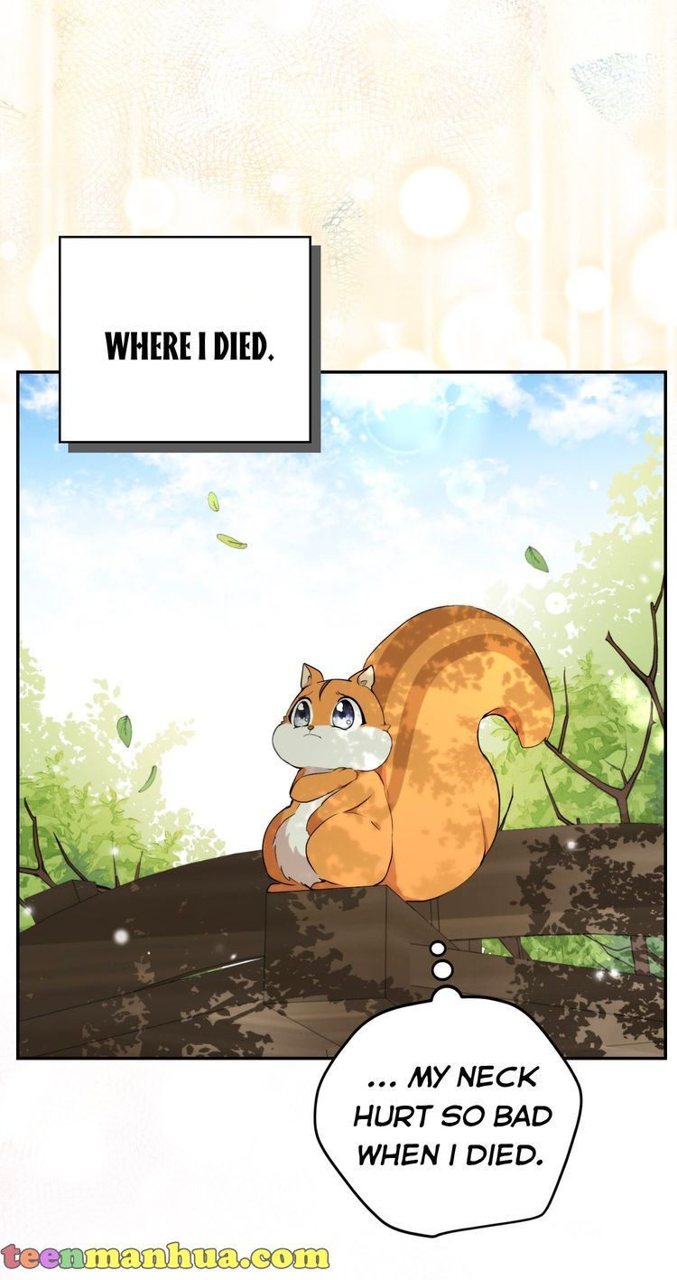 Baby Squirrel Is Good at Everything chapter 2.5 page 37