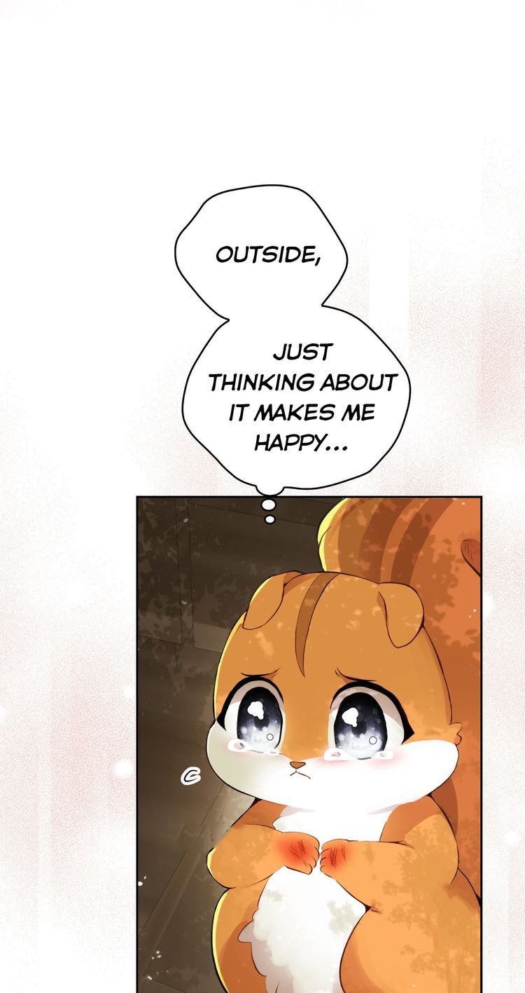Baby Squirrel Is Good at Everything chapter 2.5 page 38