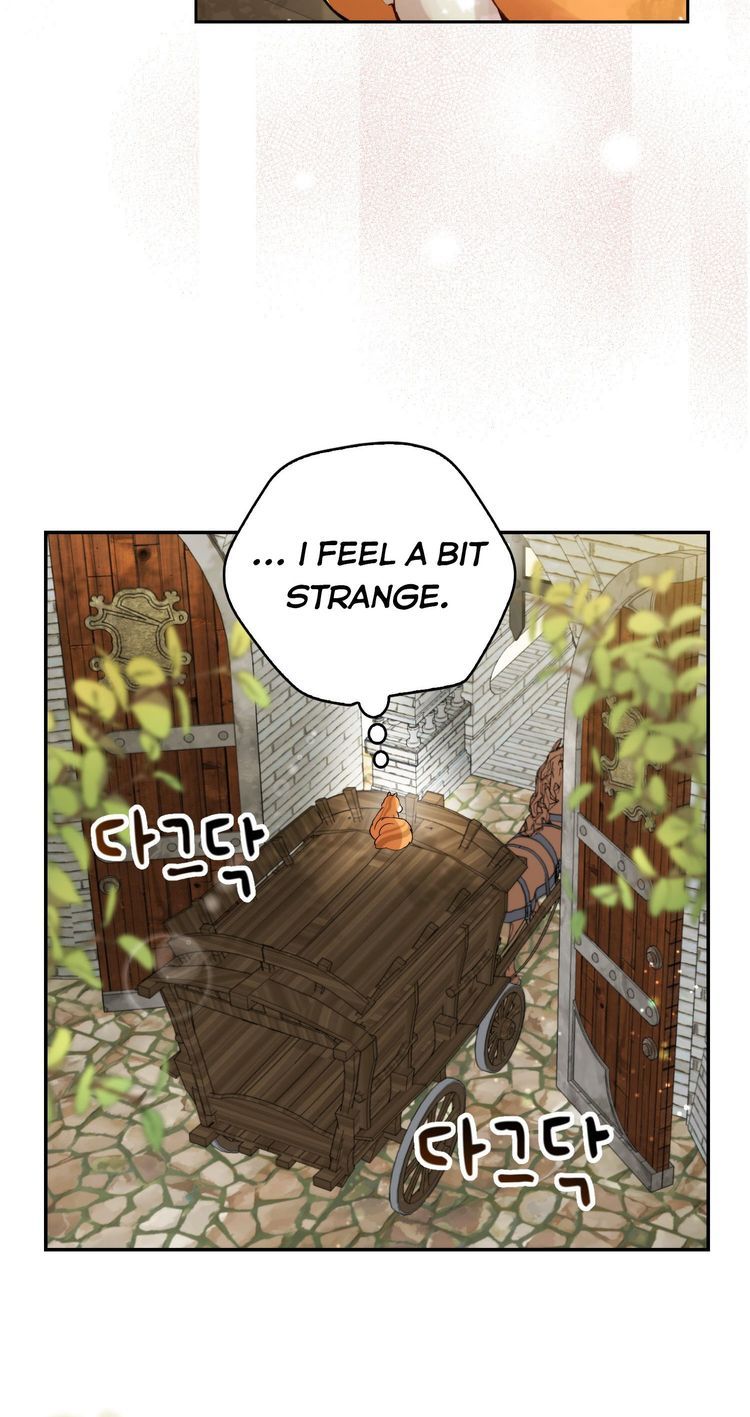 Baby Squirrel Is Good at Everything chapter 2.5 page 39