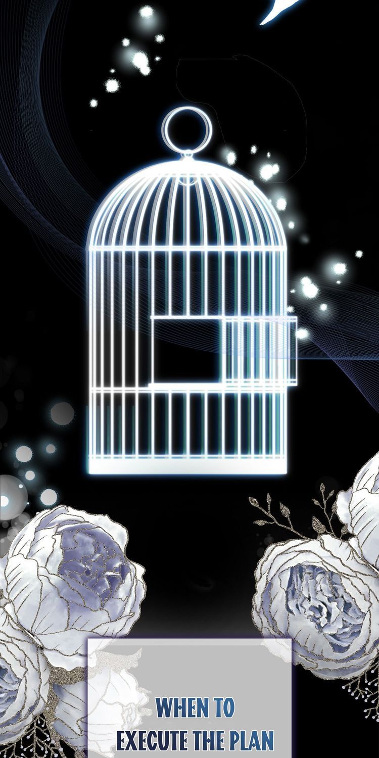 Baby Squirrel Is Good at Everything chapter 2 page 11