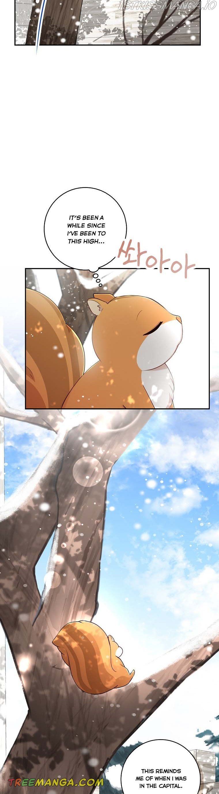 Baby Squirrel Is Good at Everything chapter 22 page 27