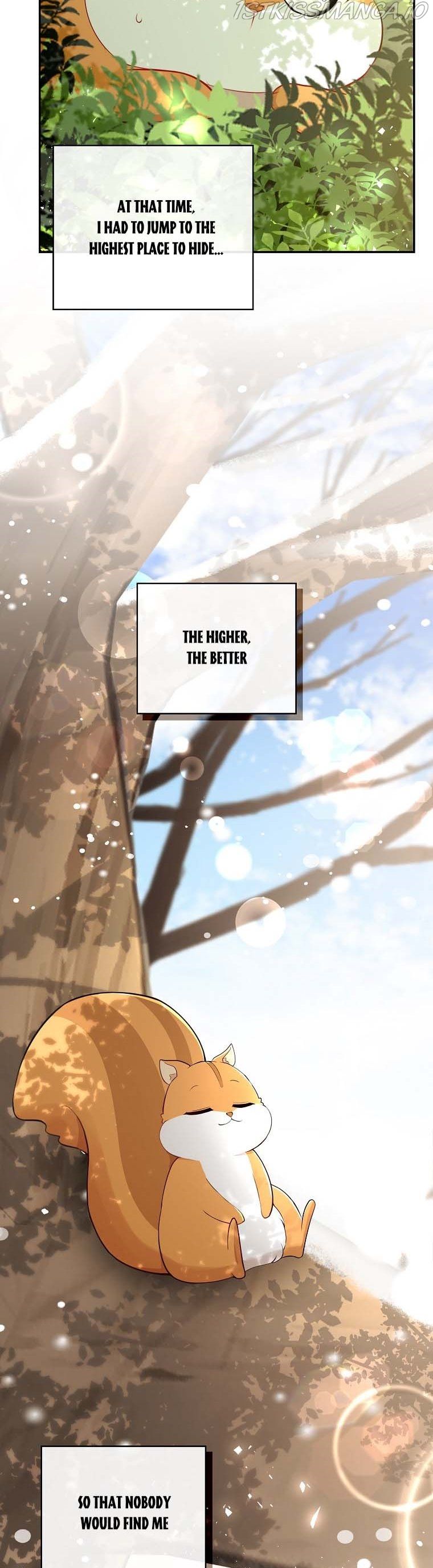 Baby Squirrel Is Good at Everything chapter 22 page 29