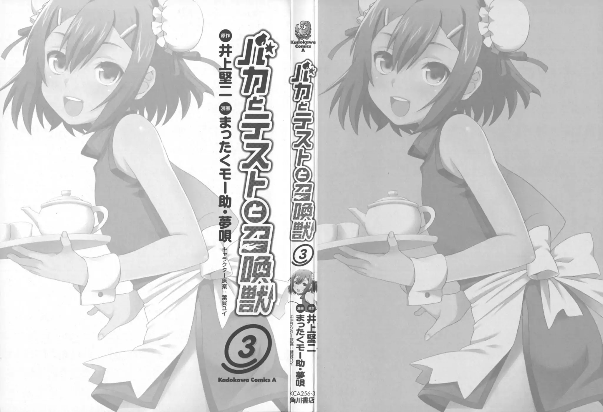 Baka to Tesuto to Shoukanjuu chapter 11 page 3