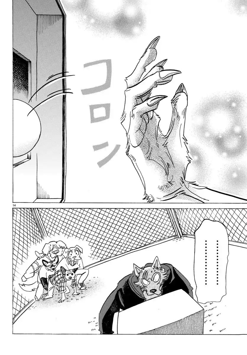 Beastars chapter 123 page 14