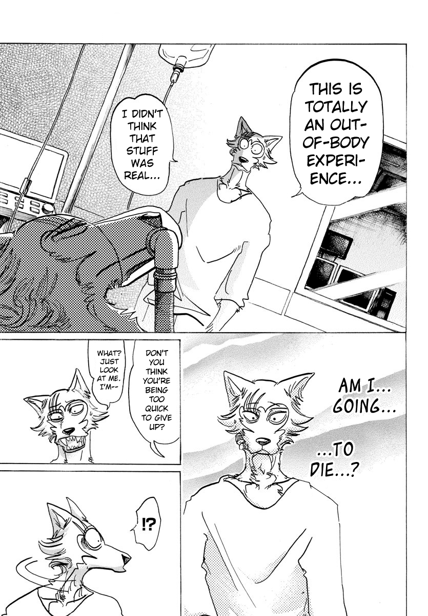 Beastars chapter 132 page 16