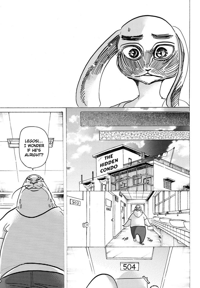 Beastars chapter 171 page 17