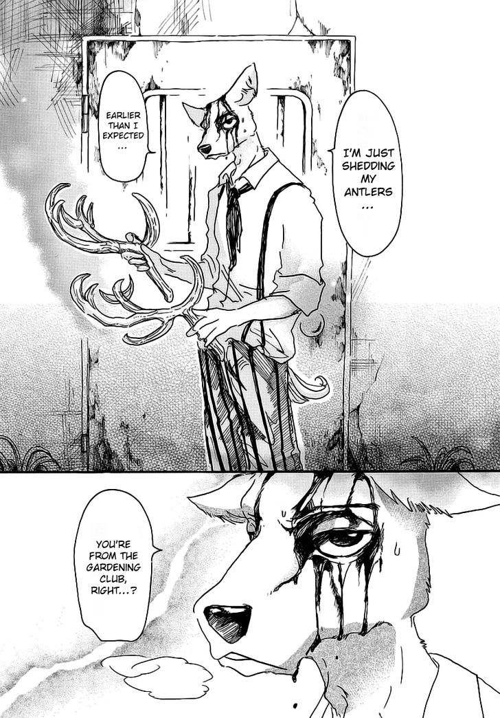 Beastars chapter 26 page 7
